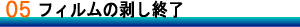 �t�B�����̔������I��