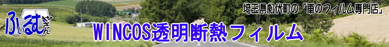 �u�Ԃ̃t�B�����₳��v�E�B���R�X�����f�M�t�B����
