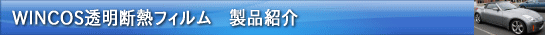 �E�C���R�X�����f�M�t�B�����@���i�Љ�