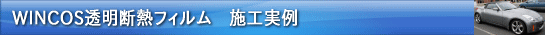 �E�C���R�X�����f�M�t�B�����@�{�H����