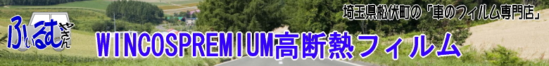 �u�Ԃ̃t�B�����₳��v�E�B���R�X�v���~�A�����f�M�t�B����